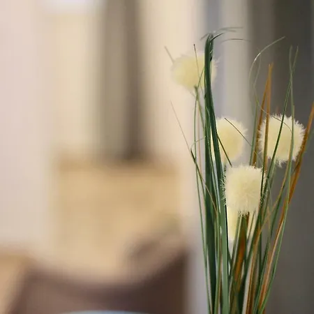 Balcones De Candelaria By Cadiz4rentals Appartamento Cadice