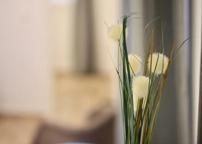 Balcones De Candelaria By Cadiz4rentals 公寓 加的斯